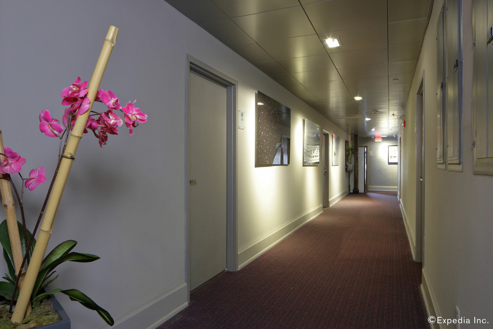 อิทาคา ออฟ เซาท์บีช โฮเต็ล Aparthotel ไมอามีบีช ภายนอก รูปภาพ